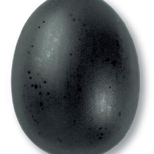 szkliwo TC372 - eminenz