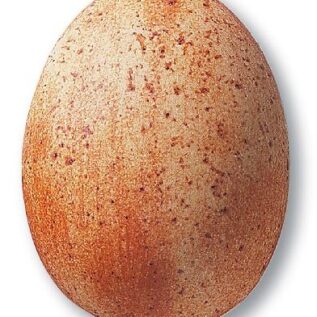 szkliwo TC359B - terakota