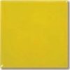 6354 pigment żółty 100g